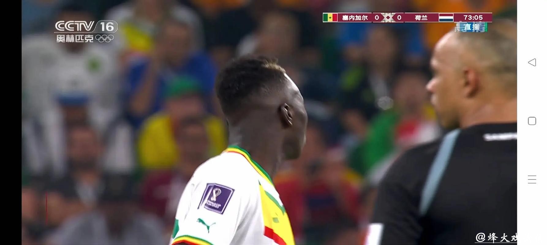 免费观看高清世界杯直播，畅享足球盛宴